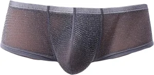 JEsilunmaMY Low Waist Boxer Briefs for Men Mesh Sheer U Convex Pouch Underwear See Through Breathable Panties Shorts Swimwear
